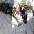 Canyoning - Canyoning - Clue du Haut Jabron - 4