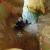 Canyoning - Canyoning - Clue du Riolan - 5