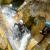 Canyoning - Canyoning - Clue de Saint-Auban - 1