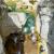 Canyoning - Canyoning - Clue de Saint-Auban - 6