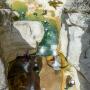 Canyoning - Canyoning - Clue de Saint-Auban - 6