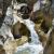 Canyoning - Canyoning - Clue de Saint-Auban - 15