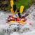 Rafting - Rafting Integrale - 4